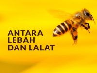 Marhaban Santri Baru